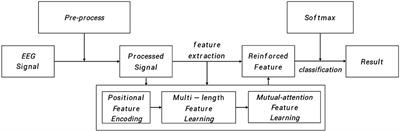 Positional multi-length and mutual-attention network for epileptic seizure classification